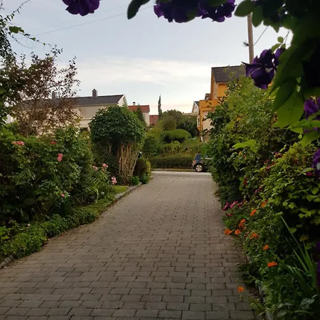 Gronnlunge * Stavanger