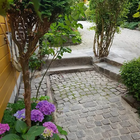 Gronnlunge Stavanger